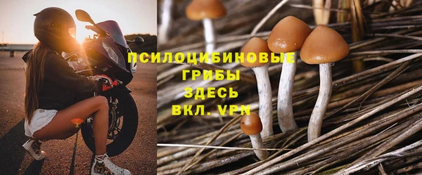 герыч Алзамай