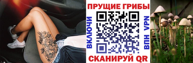гидра маркетплейс  где можно купить наркотик  Черкесск  Галлюциногенные грибы MAGIC MUSHROOMS 