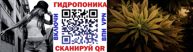 Марихуана планчик  Черкесск 